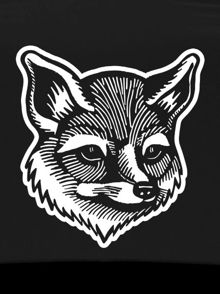 Fox Foxes