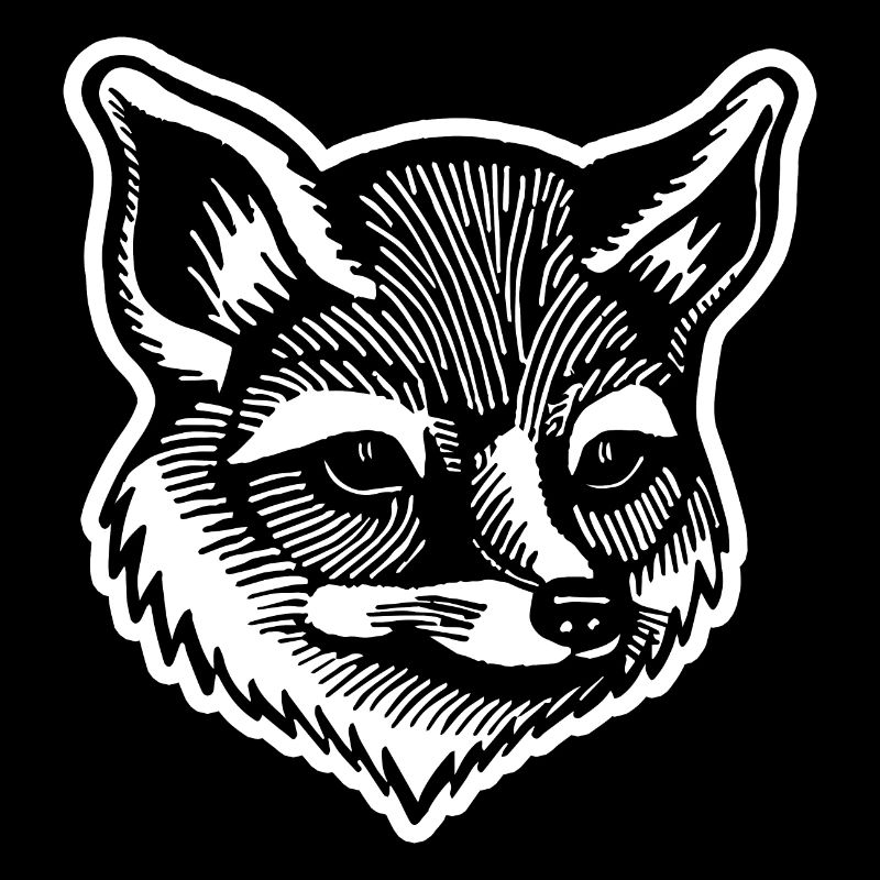 Renards Renards