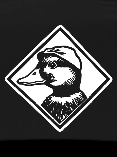 Duck Ducks