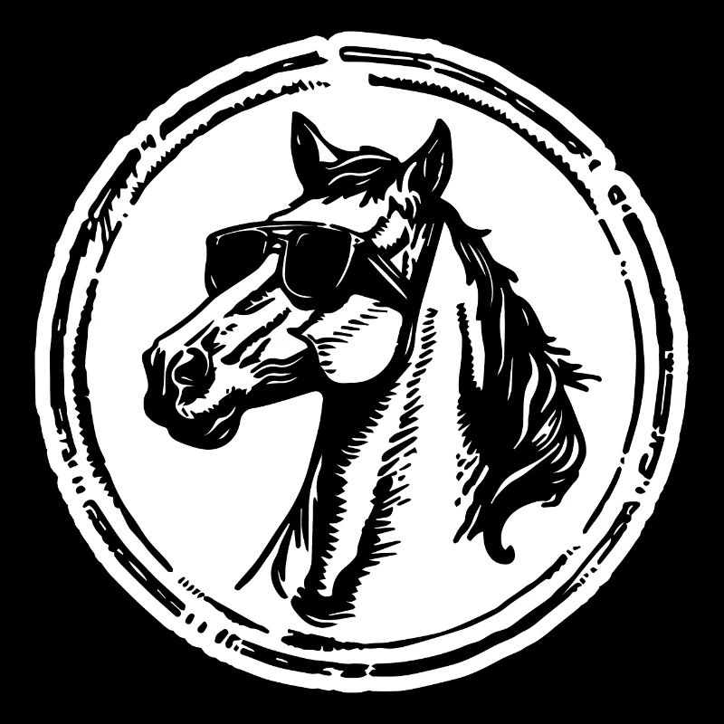 Cheval Chevaux Équitation Cavalier