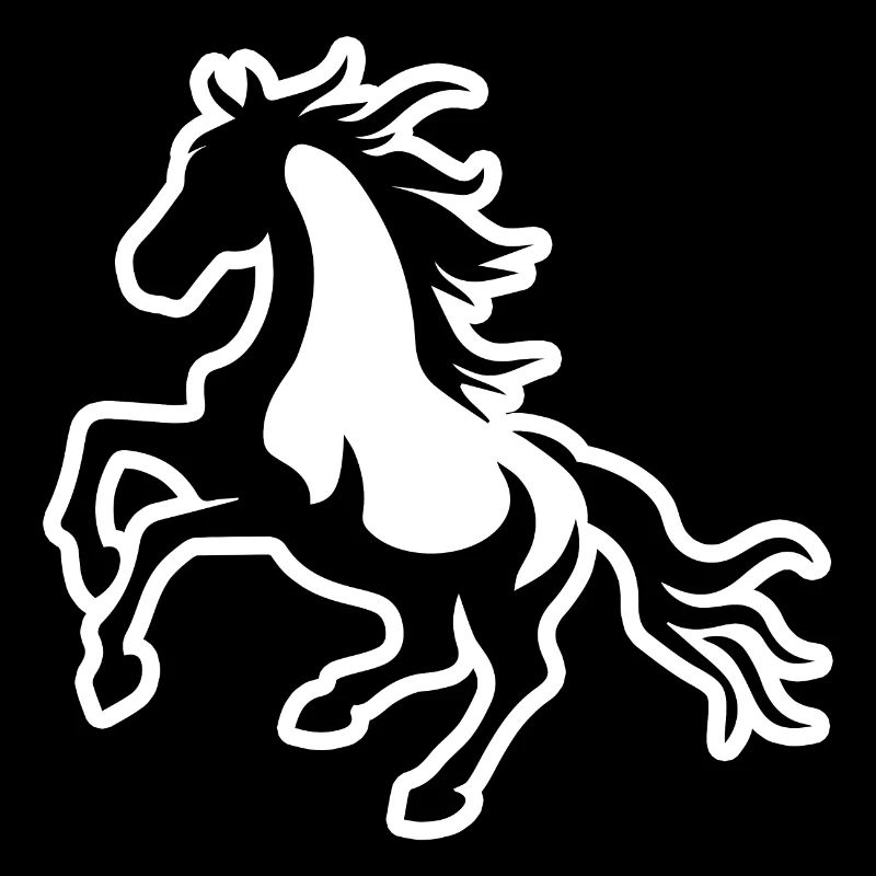Cheval Équitation Équitation