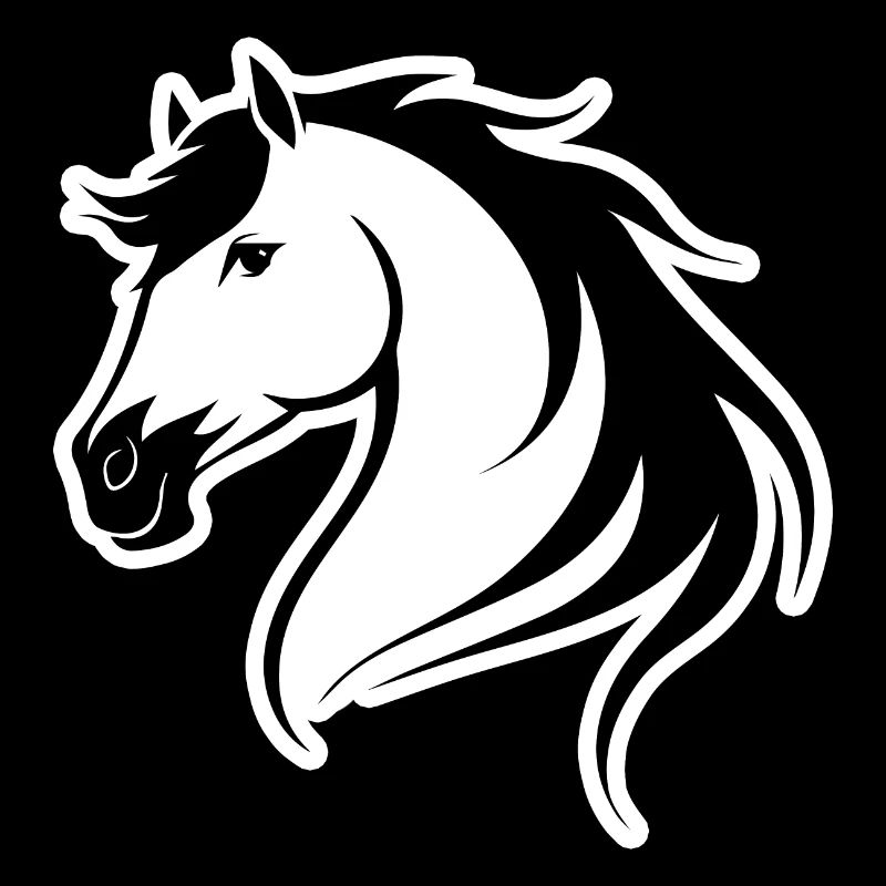 Cheval Équitation Équitation