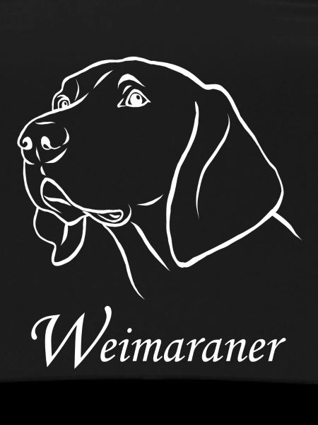 Weimaraner portrait