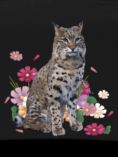 Lynx