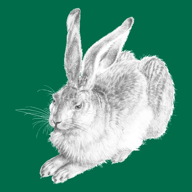 WHITE RABBIT | Snow Hare after Albrecht Dürer