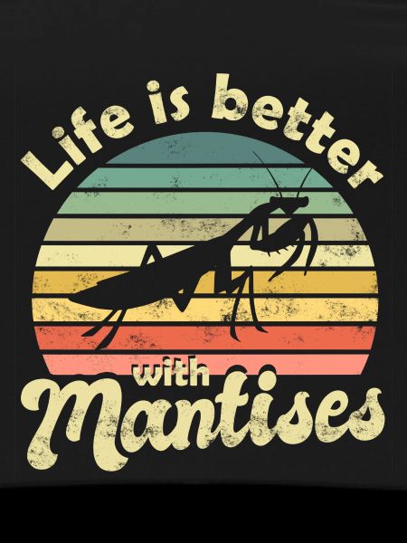 Praying mantis Mantis