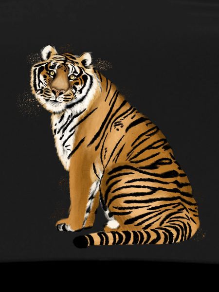Tigre