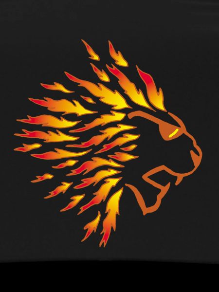 Lion and flames