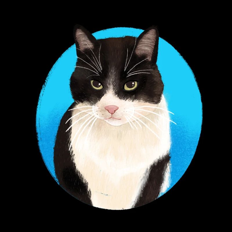 Noir Blanc Chat