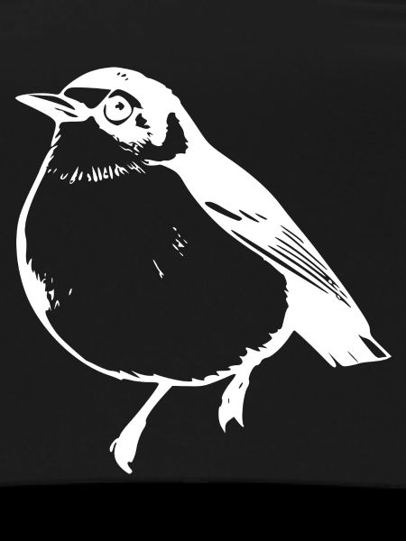 Bird white