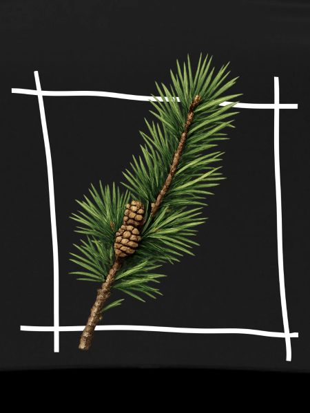 Pine Branch Minimal Frame