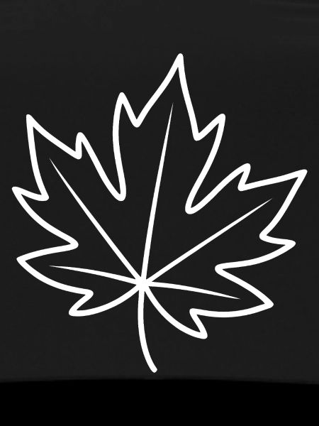 Maple Leaf Linien-Outline
