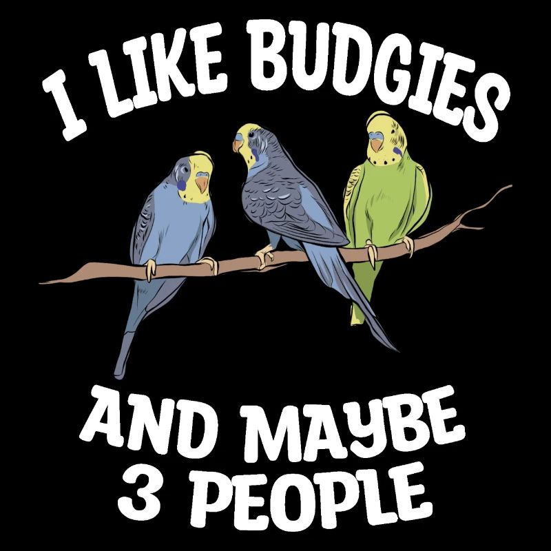 Amoureux de Budgerigar