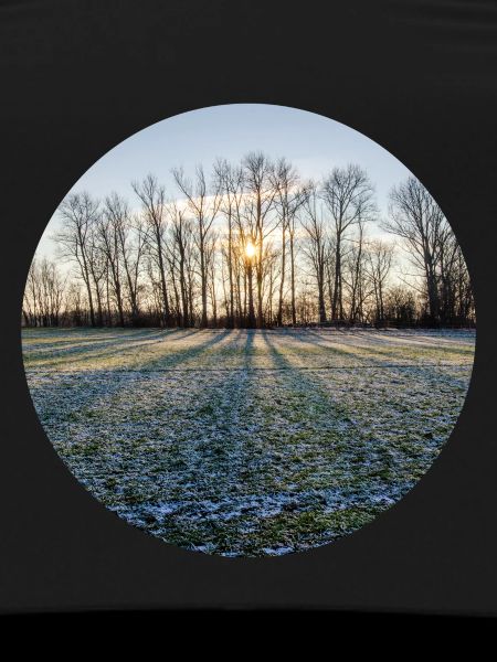 Winter sun