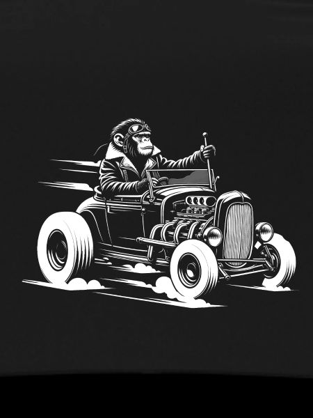 Monkey at the wheel