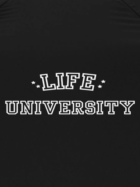 Universidad de la vida