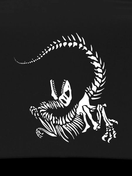 Raptor skeleton