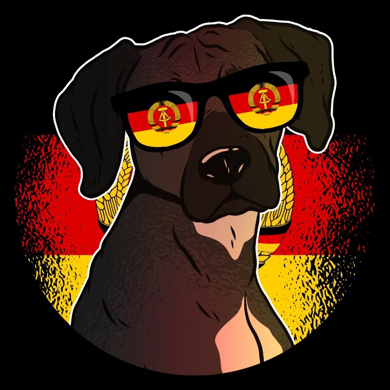 DDR