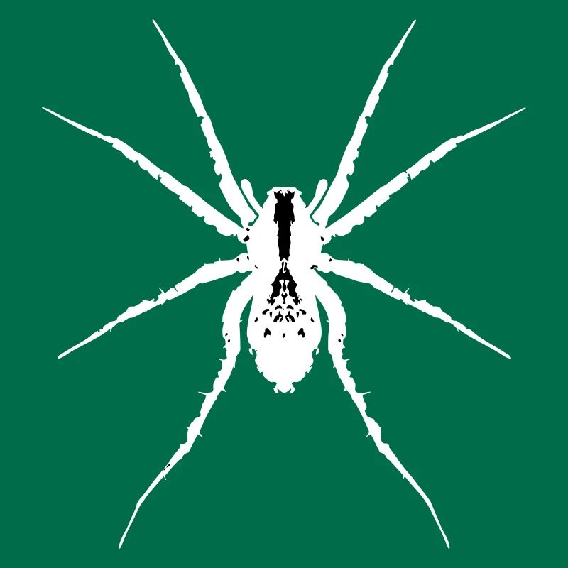 White wolf spider