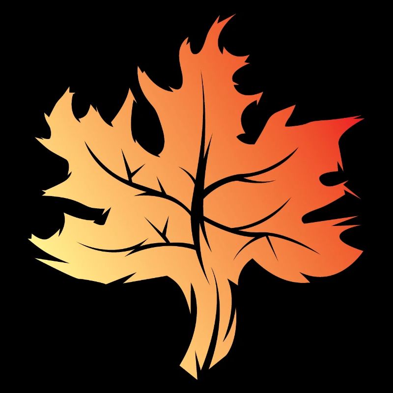 Maple Leaf Icon Colors Logo icon Illustration