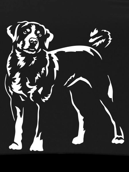 Appenzeller "Black Edition"
