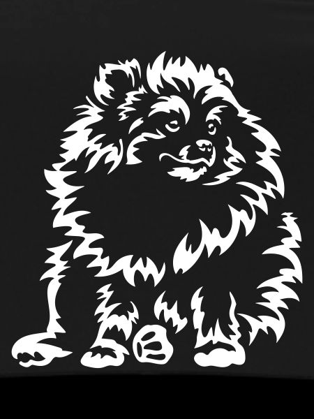 Dwarf Spitz "Black Edition"