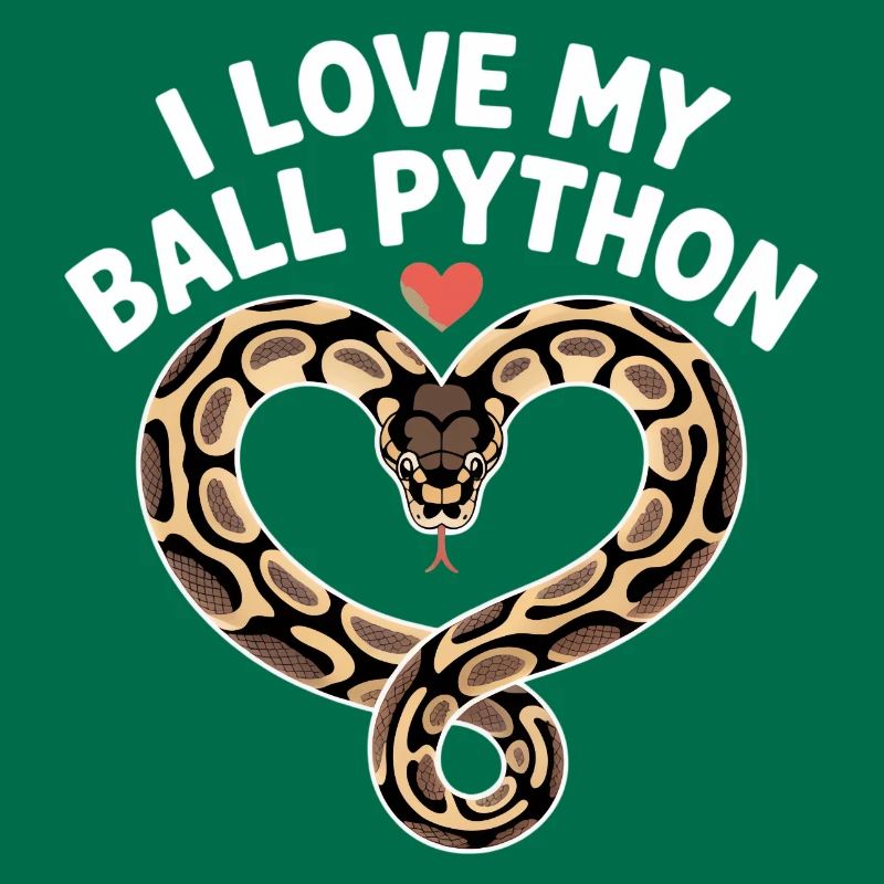 J’adore mon python royal ! Roi python