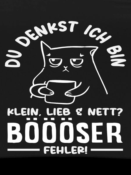 Bad mistake little cat