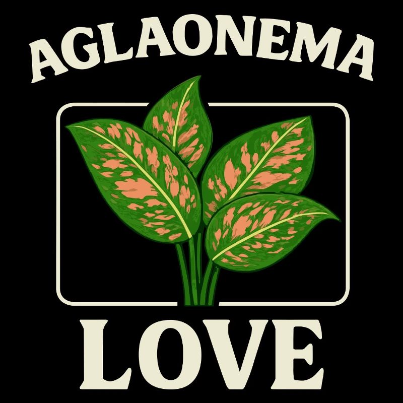 Aglaonema Love