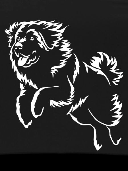 Leonberger « Édition noire »