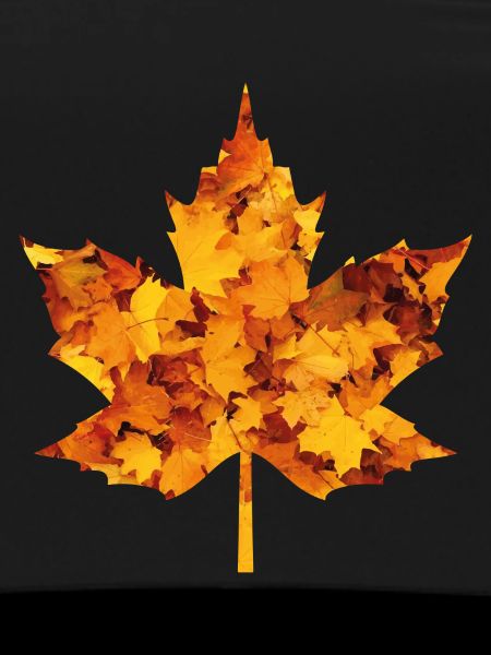 Feuille d’érable
