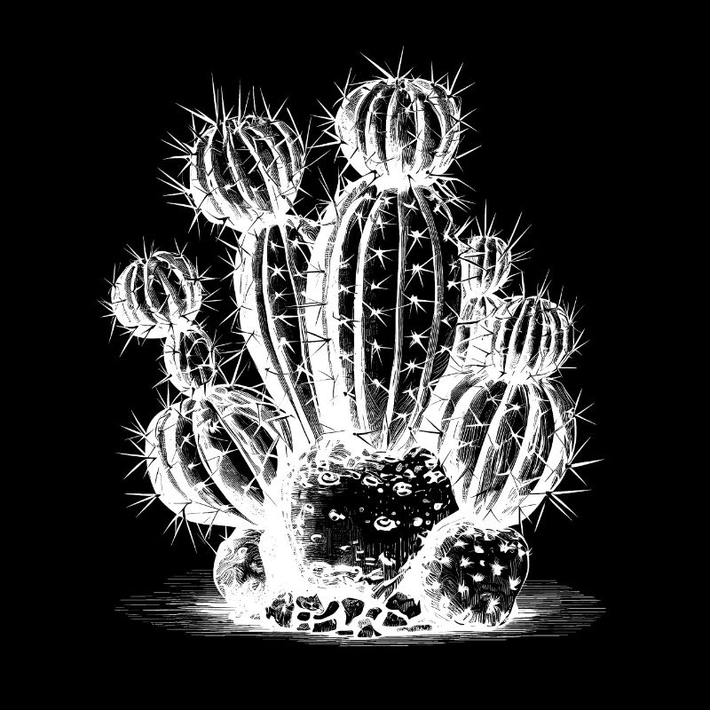 Cool cactus motif in white