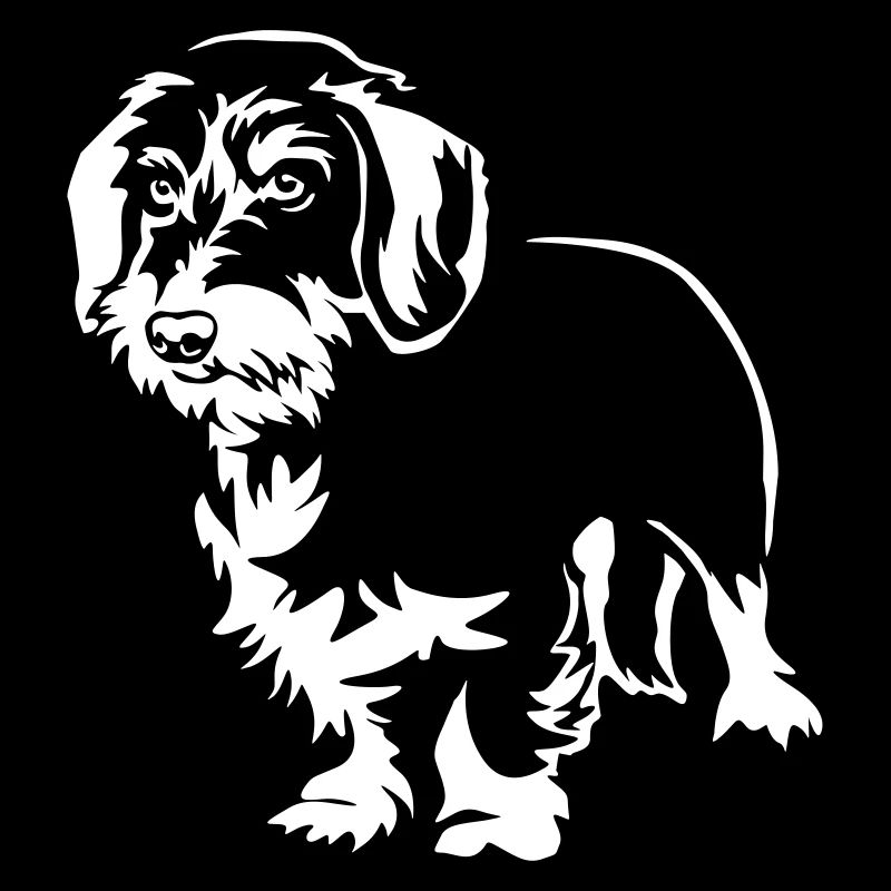 Dachshund "Black Edition"