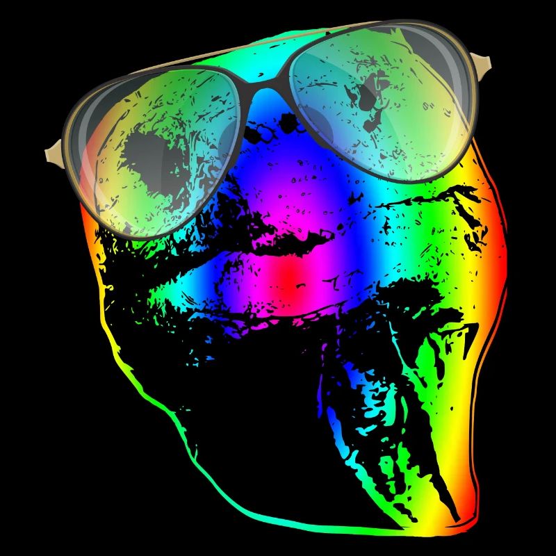 Turtle Sunglasses Turtles Rainbow