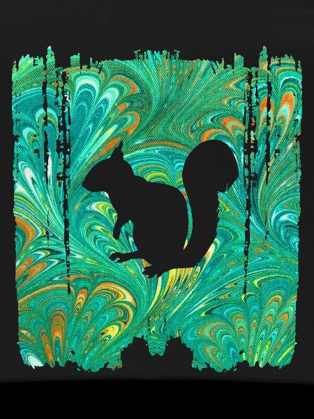 Squirrel E 71 B