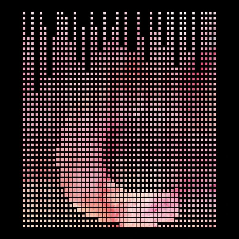 Floral gradient with lettering