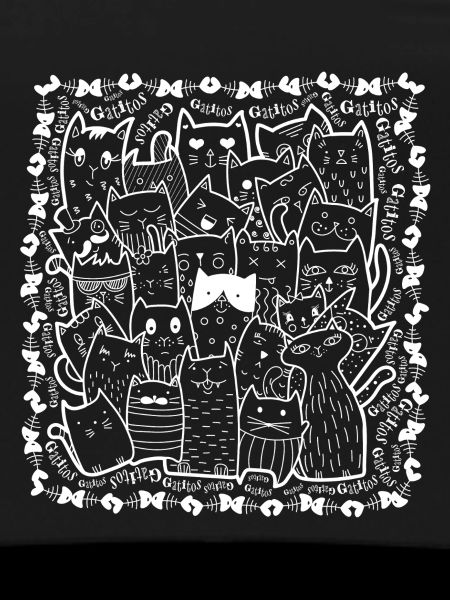 Chats V1B