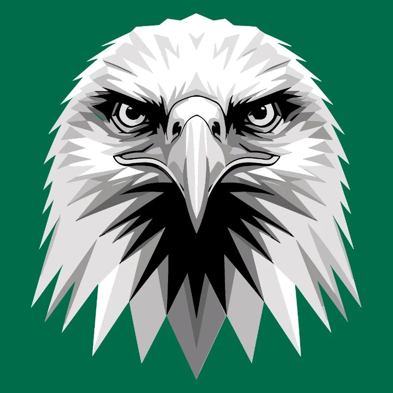 Eagle Bald Eagle Golden Eagle White-tailed Eagle