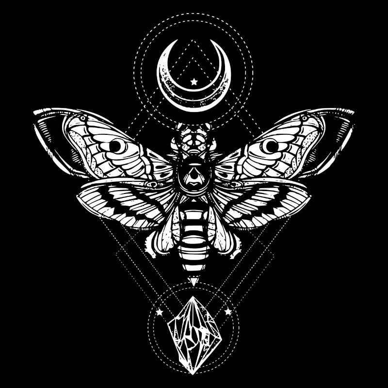 Mystical moon butterfly