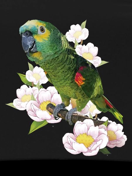 The blue-fronted amazon