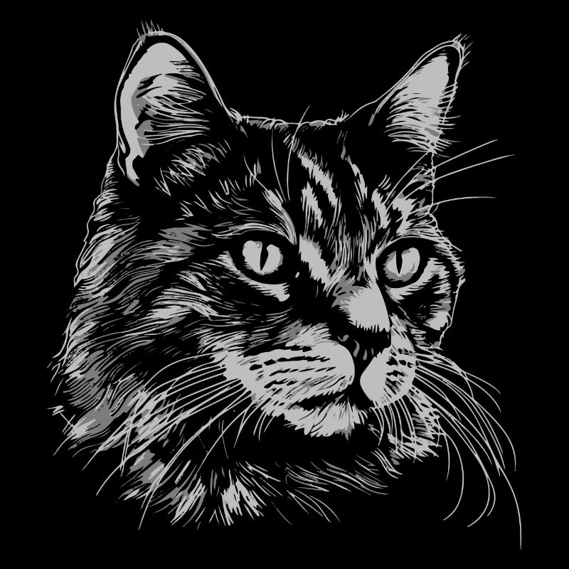 Chat
