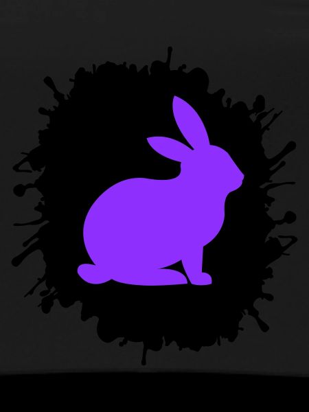 Éclaboussures de lapin