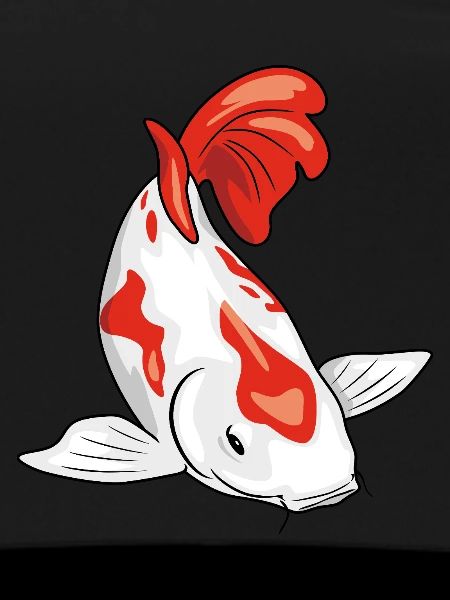 Koi fish