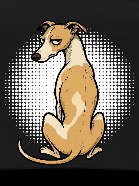 Whippet Greyhound Whippets Greyhound Owner