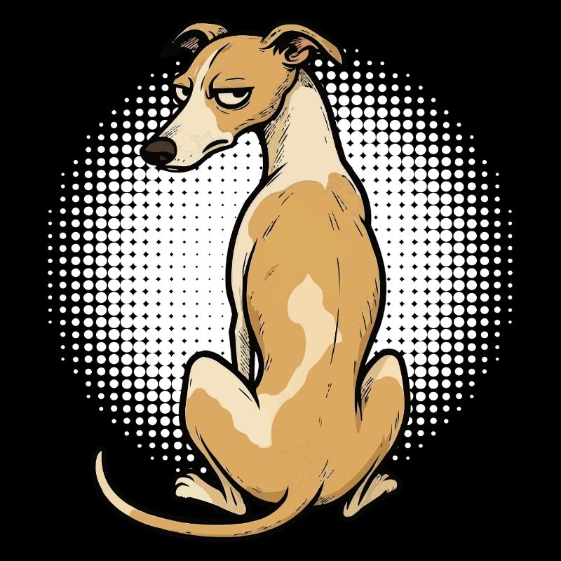 Whippet Greyhound Whippets Greyhound Owner