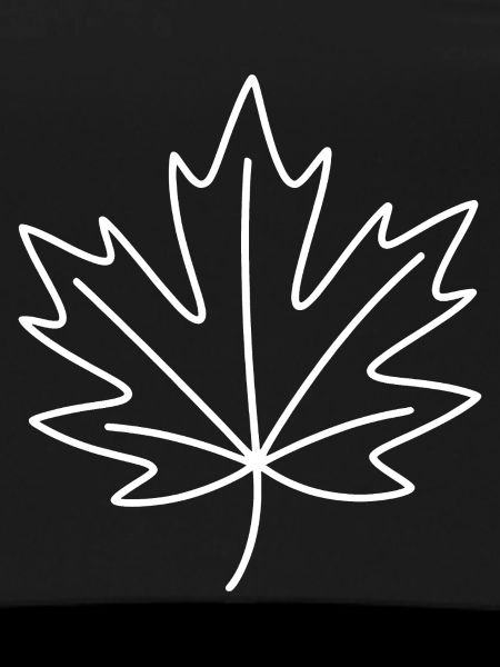 Minimum Leaf Outline