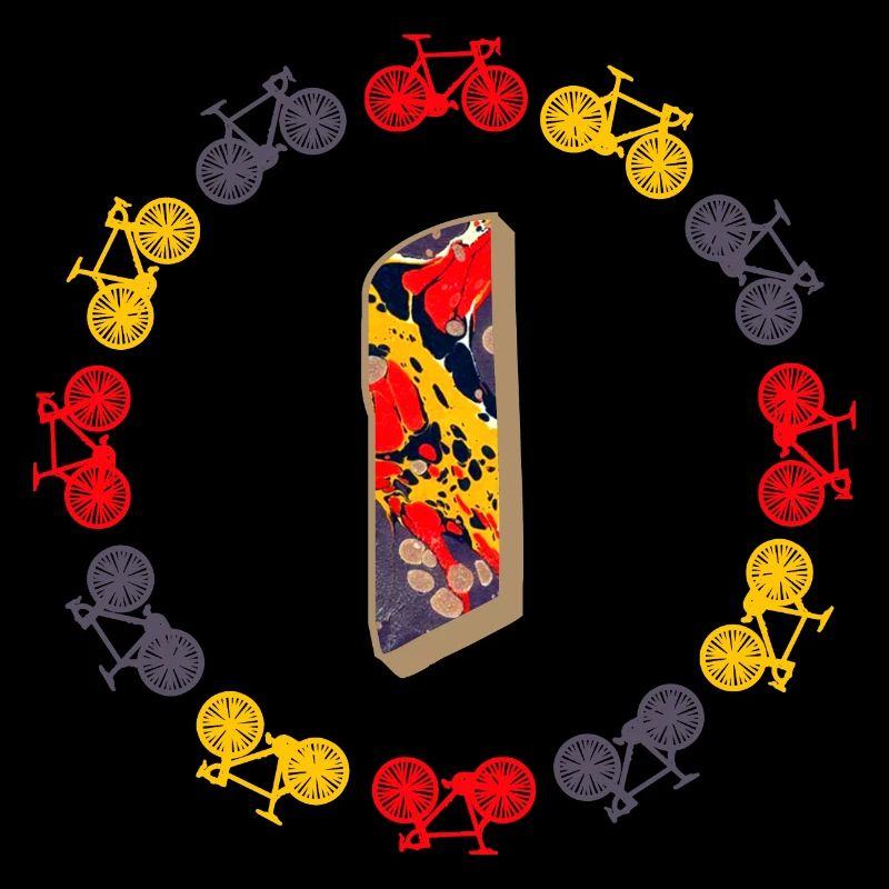 Bicycle E 202 I