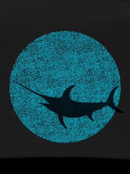 Swordfish