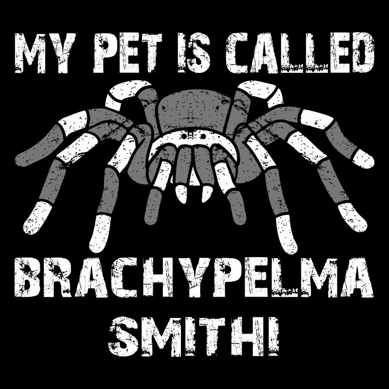 My pet's name is Brachypelma Smithi