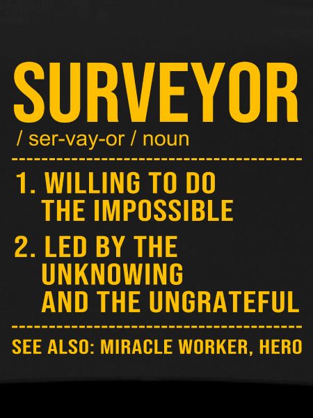 Surveyor